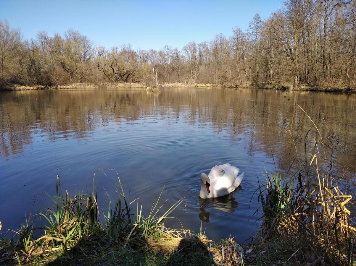 Ubytovani U Malinkovicu Břeclav Exterior foto